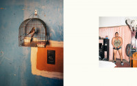 Collage of two photos: a bird in a cage in a blue room on the left, a man in shorts and tank top in a room with pink curtains on the right.