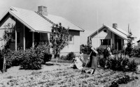 Old black-and-white photo, two small wooden houses with gardens, three women.